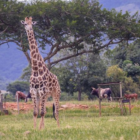 Caracal Lodge Alkmaar Luaran gambar