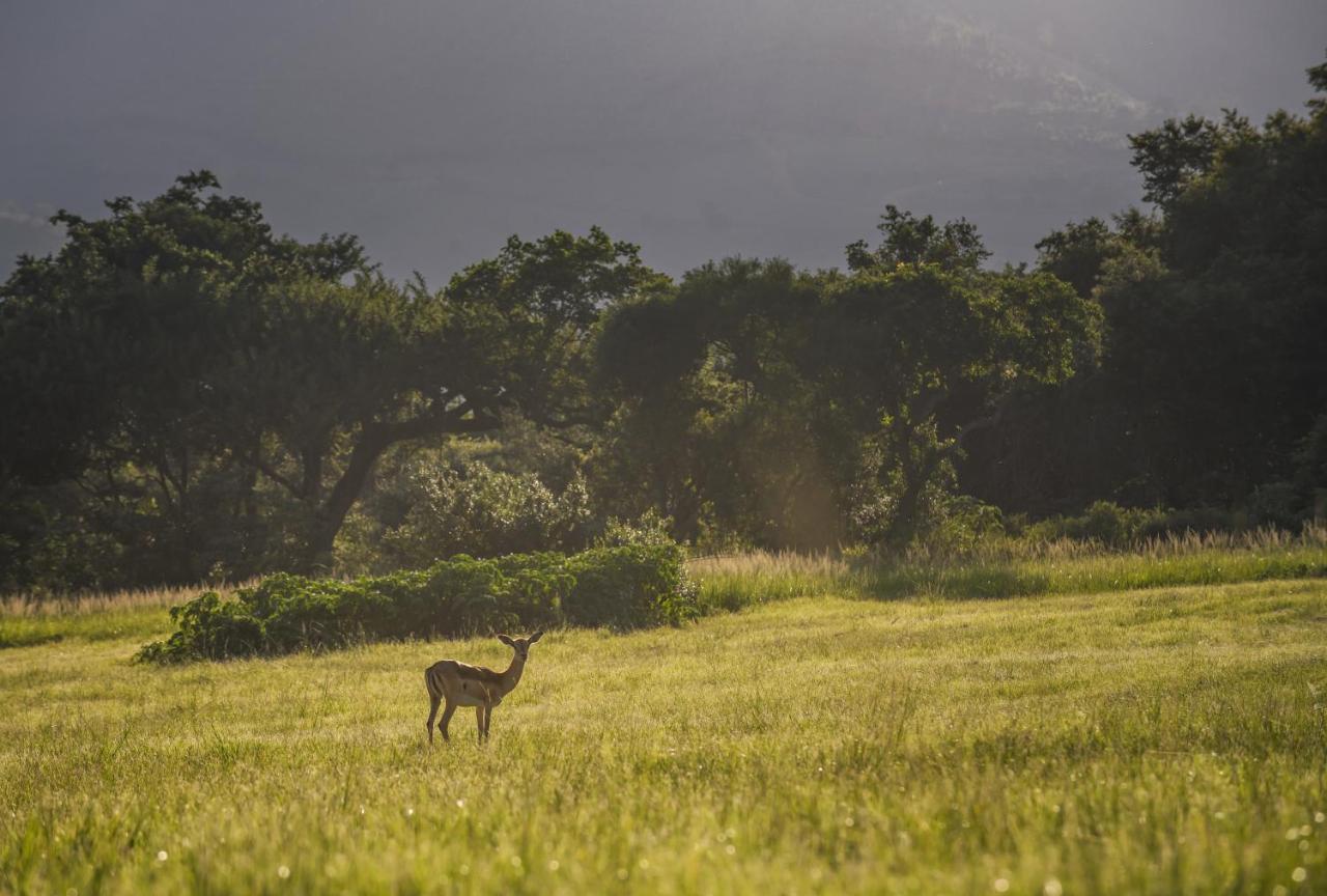 Caracal Lodge Alkmaar Luaran gambar