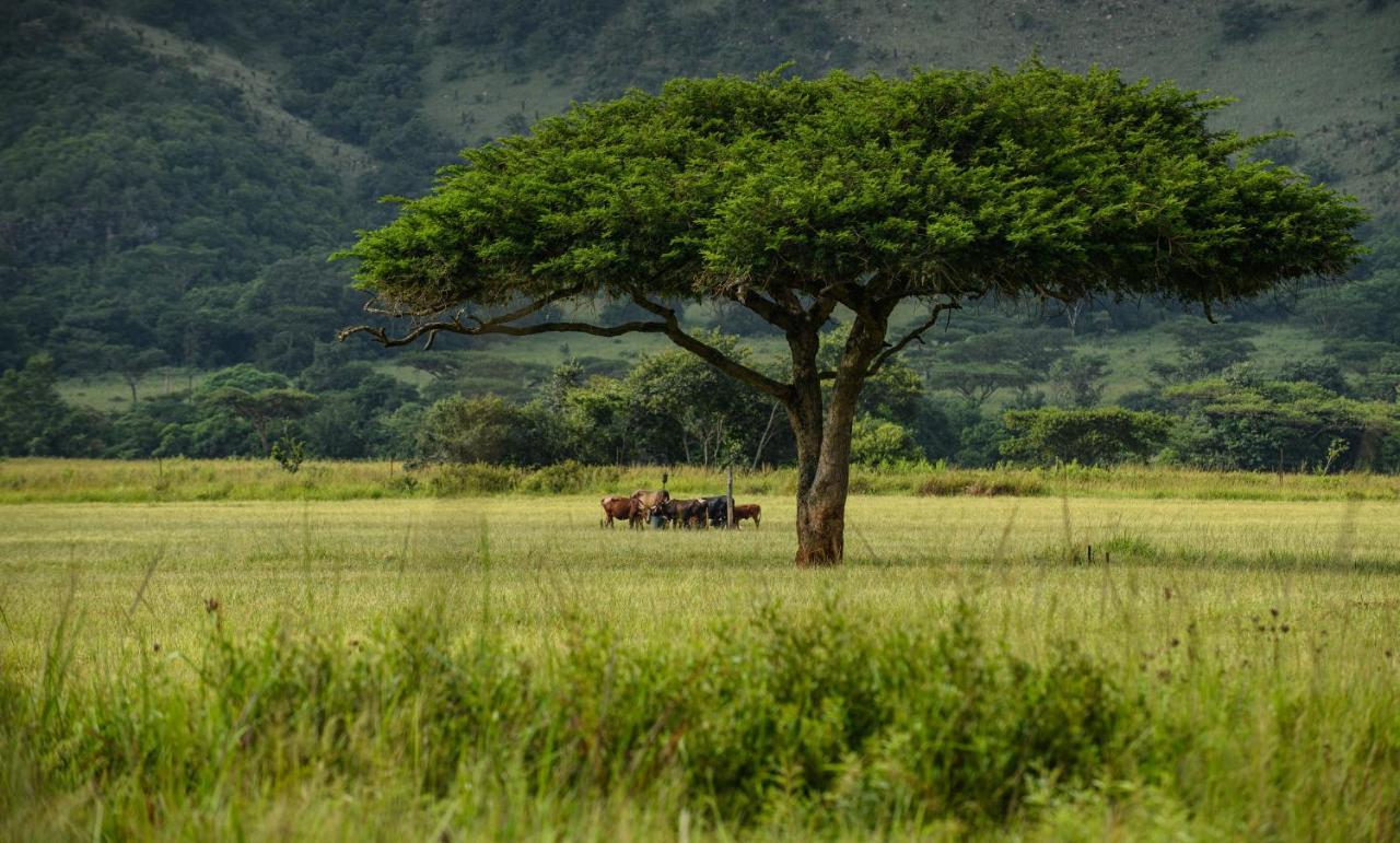 Caracal Lodge Alkmaar Luaran gambar