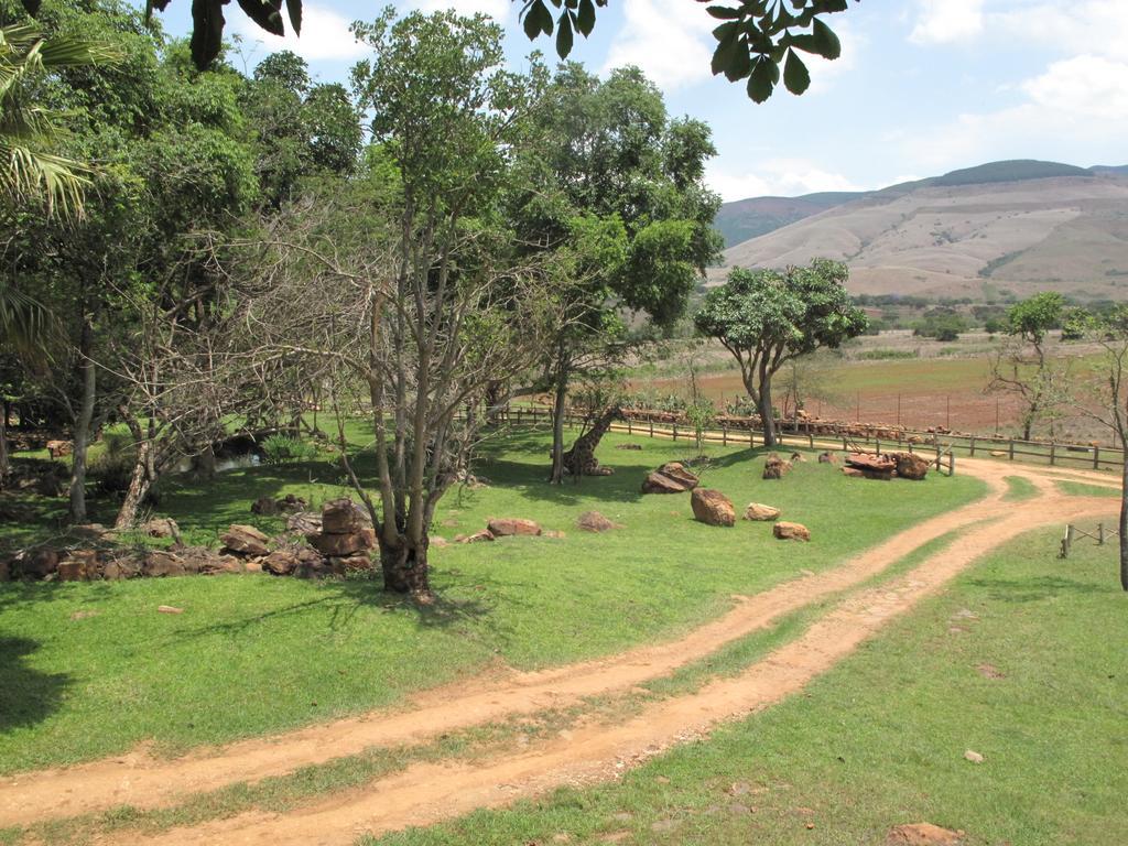 Caracal Lodge Alkmaar Luaran gambar