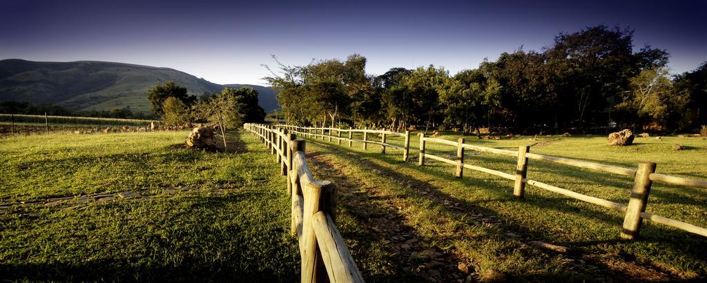 Caracal Lodge Alkmaar Luaran gambar