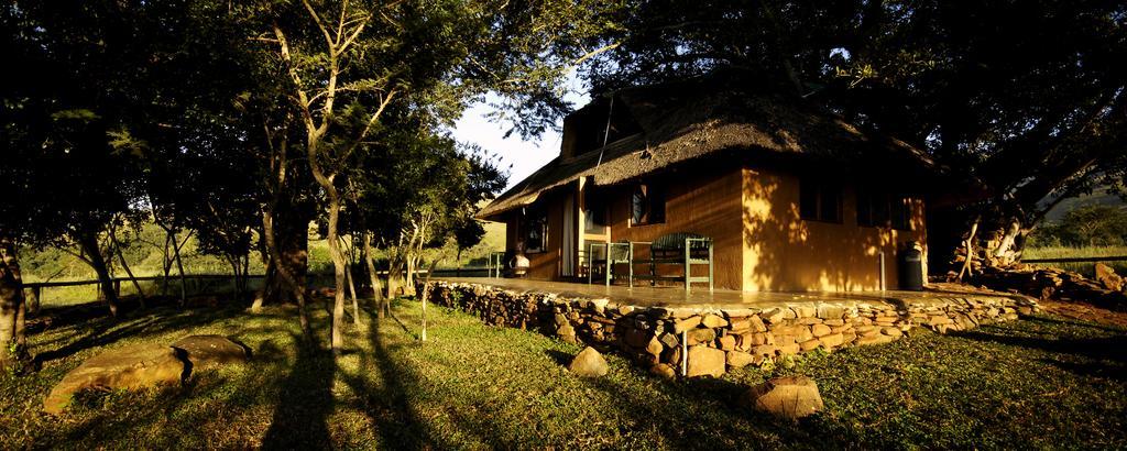 Caracal Lodge Alkmaar Bilik gambar