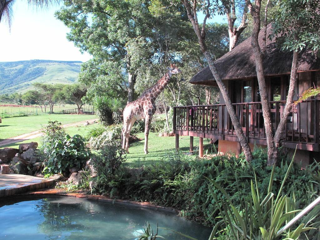 Caracal Lodge Alkmaar Luaran gambar