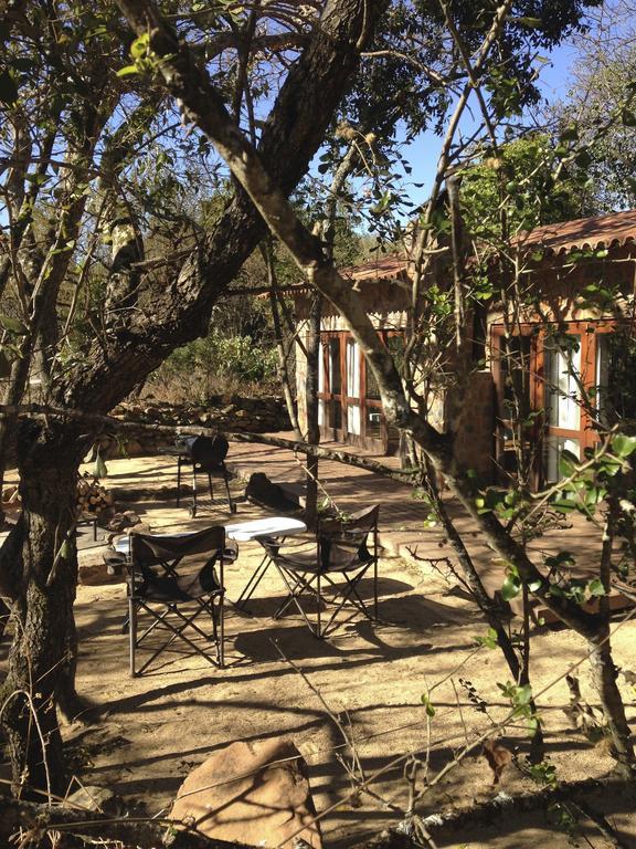 Caracal Lodge Alkmaar Bilik gambar